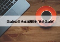 区块链公司杨峰简历资料[杨斌区块链]